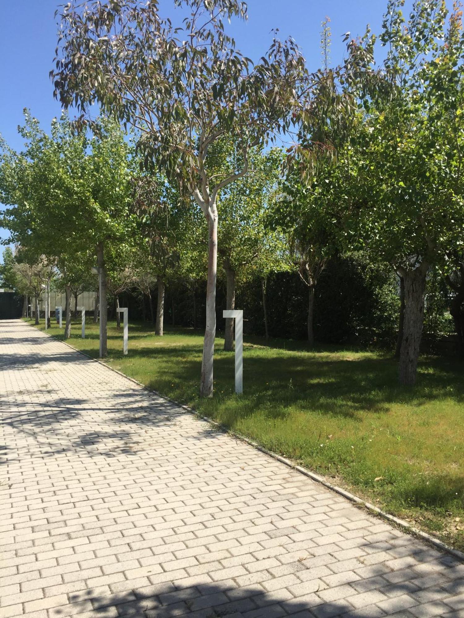 Camping & Residence Il Pioppeto Васто Екстериор снимка